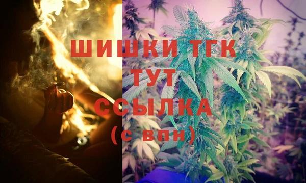 соль ск Алексин