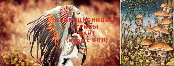 прущий лед Алексеевка