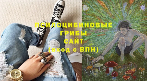 соль ск Алексин