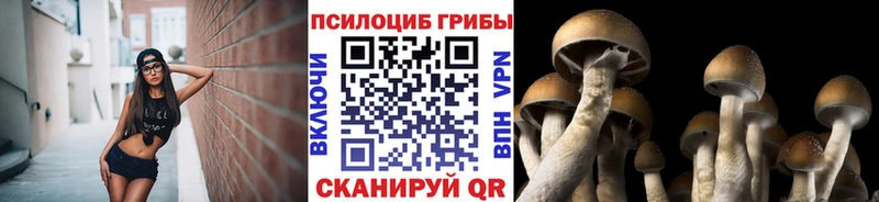 Псилоцибиновые грибы ЛСД Новопавловск
