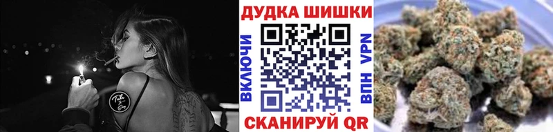 Каннабис планчик  где купить наркотик  Новопавловск 